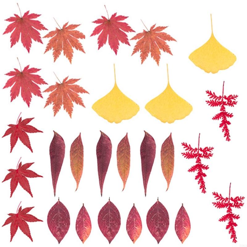 Natural Pressed Dried Flower F - Resin Craft Ideas 评论和价格